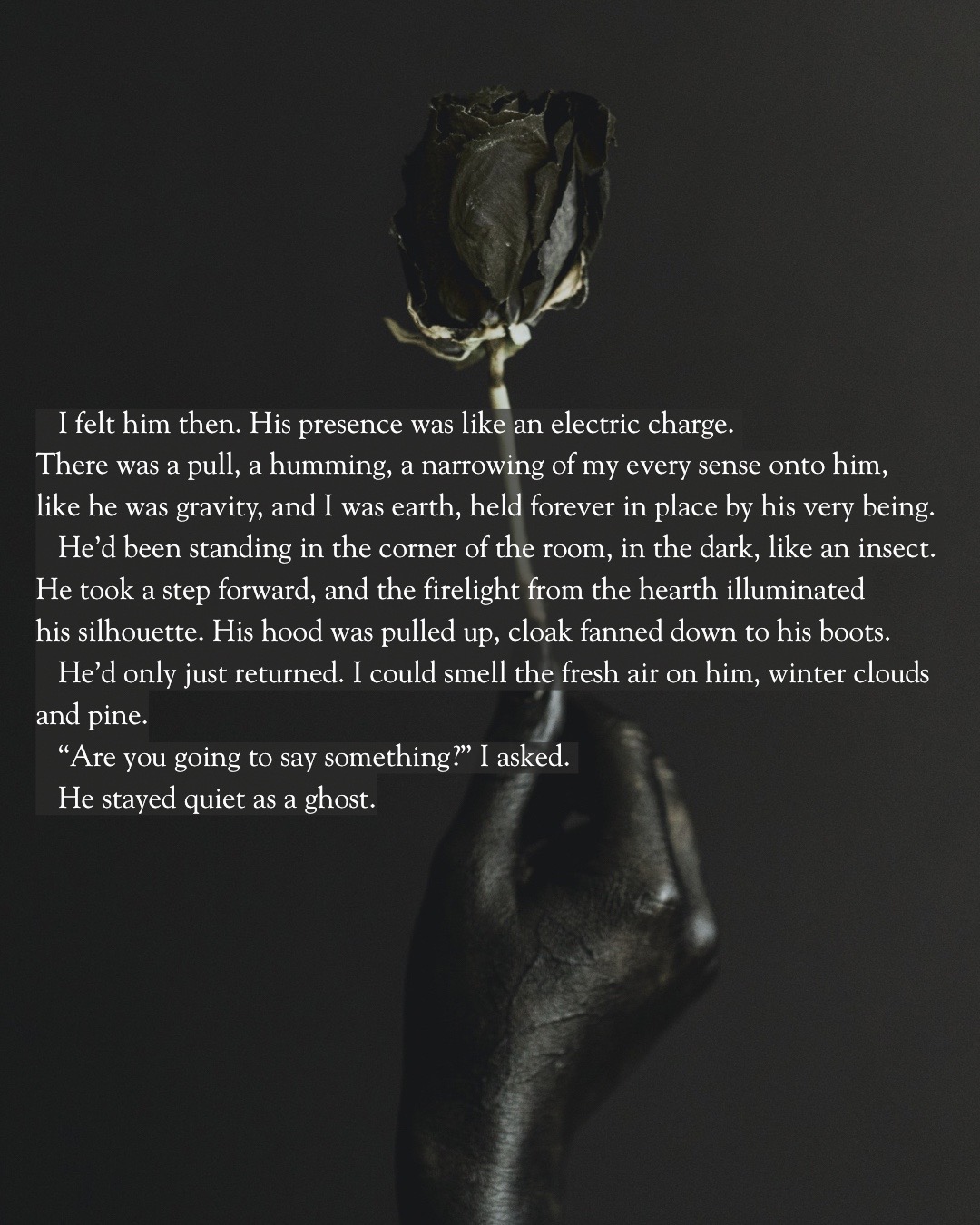 @Hailey | Fantasy Author