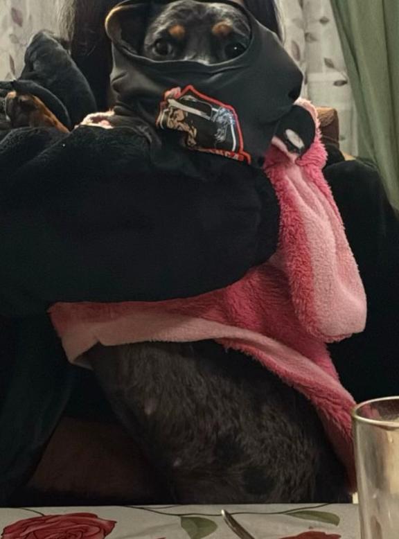 @𝑴𝒊𝒍𝒂 𝑴𝒊𝒍𝒂𝒏𝒆𝒔𝒂 🐾