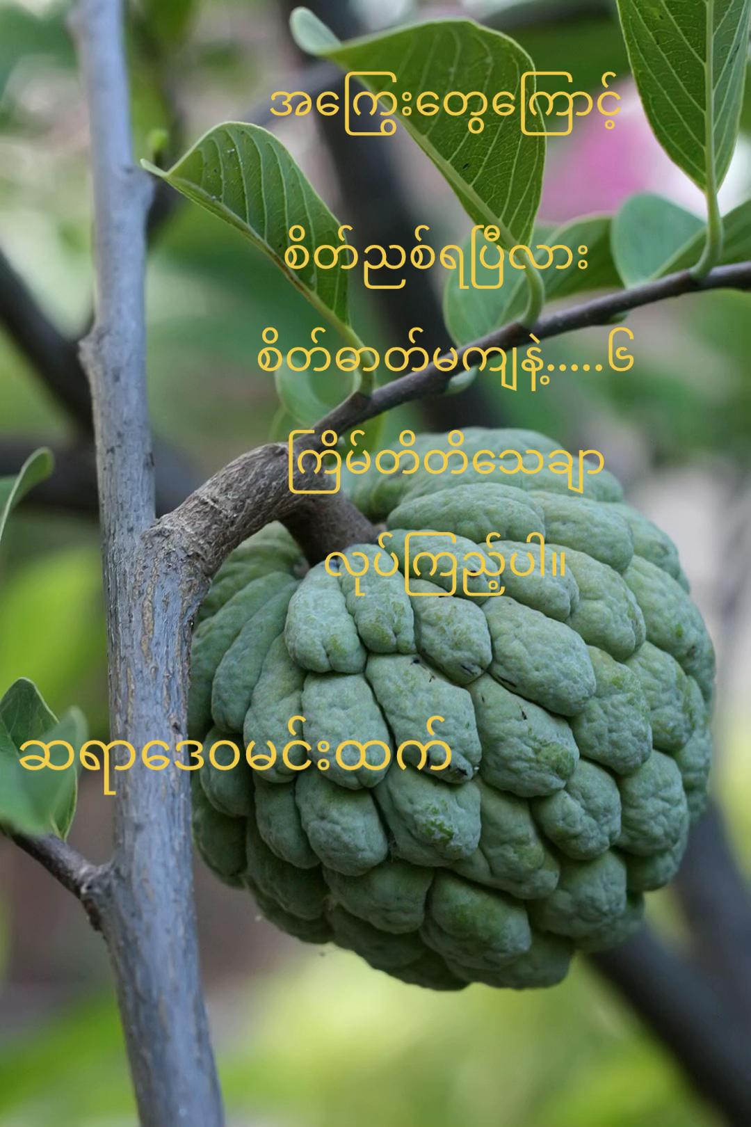 @ဆရာဒေဝမင်းထက် (ဗေဒင်နှင့်ယတြာ)
