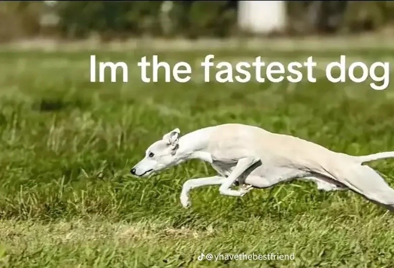 @Alex12345