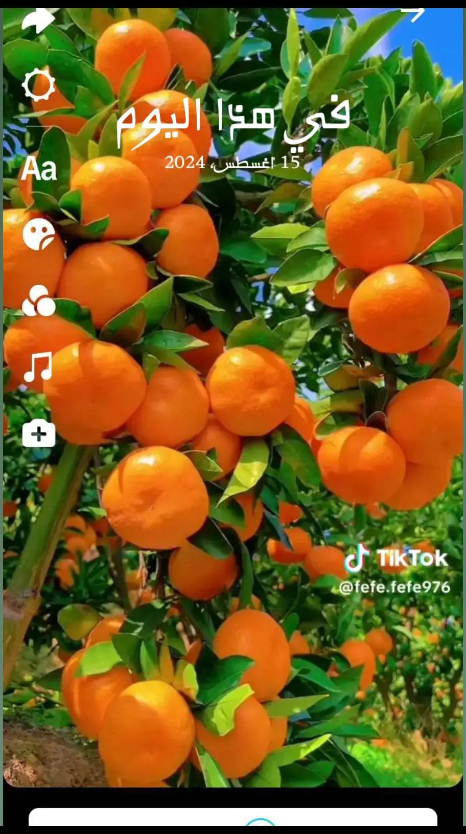 @ኢክራም እሙ ከድር