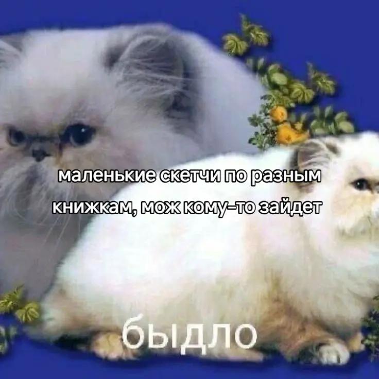 @расскольников в пальто
