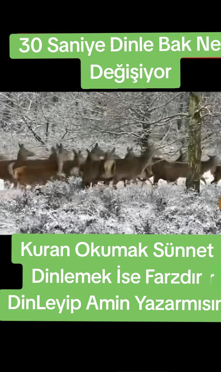 @Mehmet Ataman