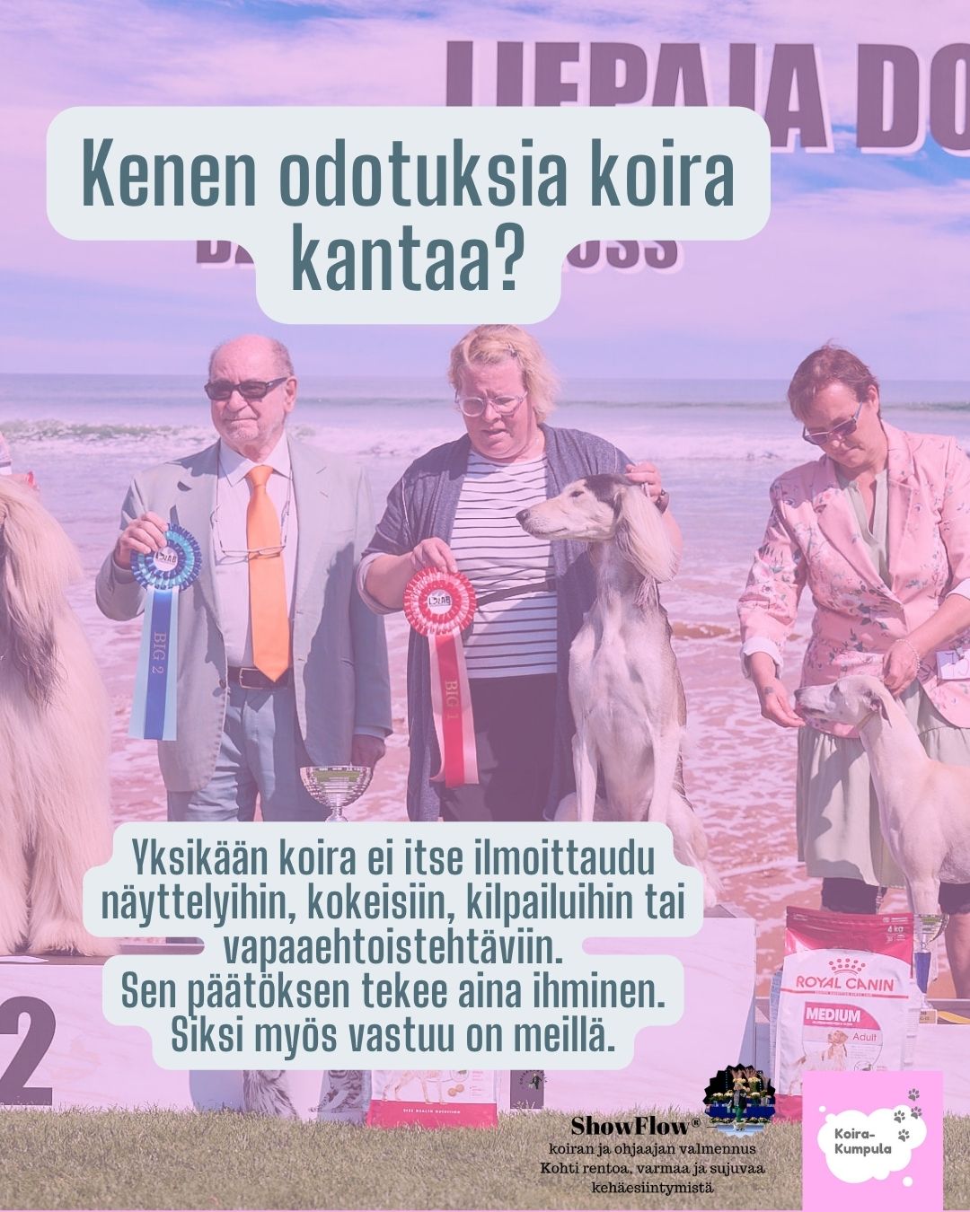 @Erja