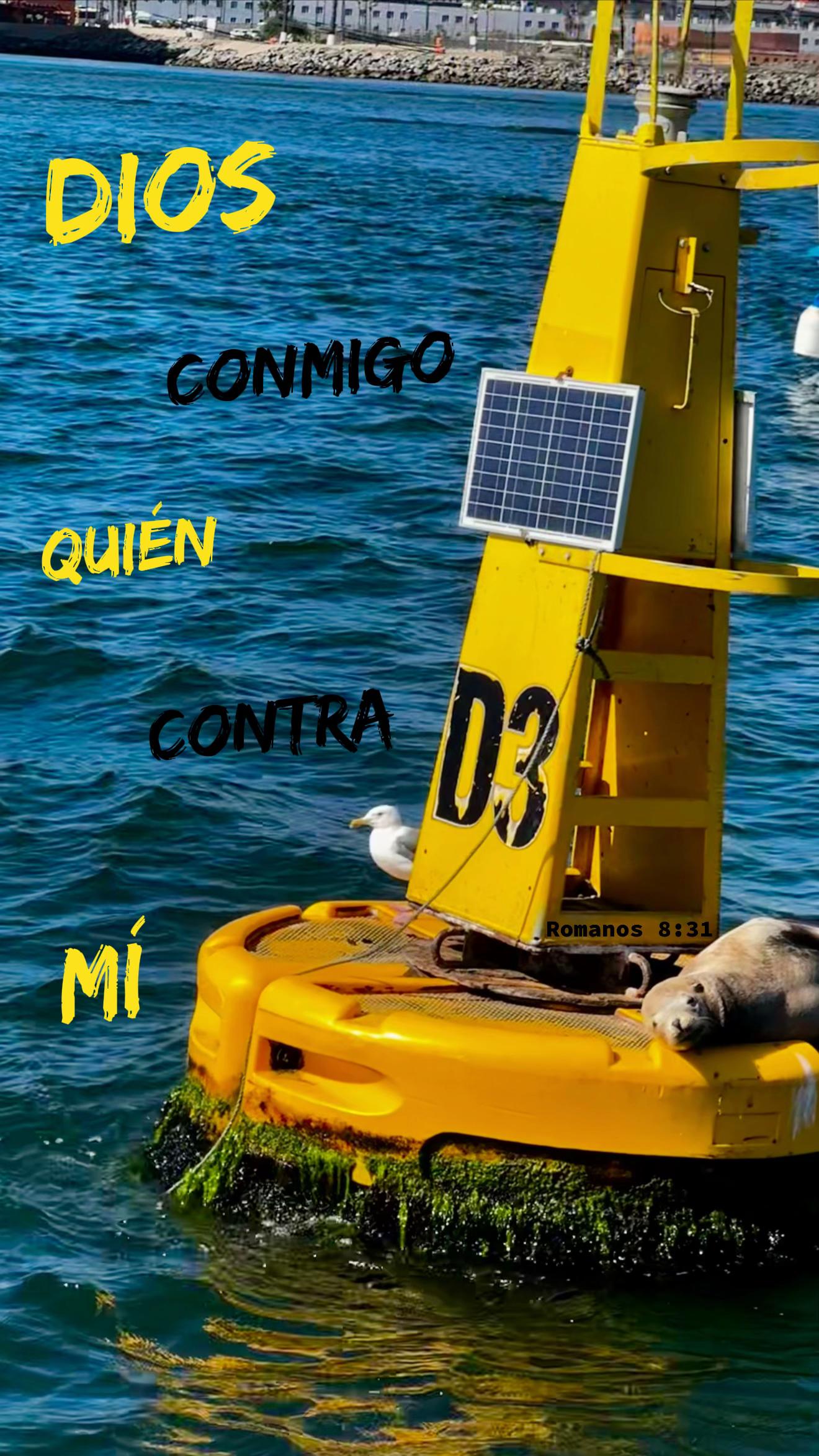@Jesús