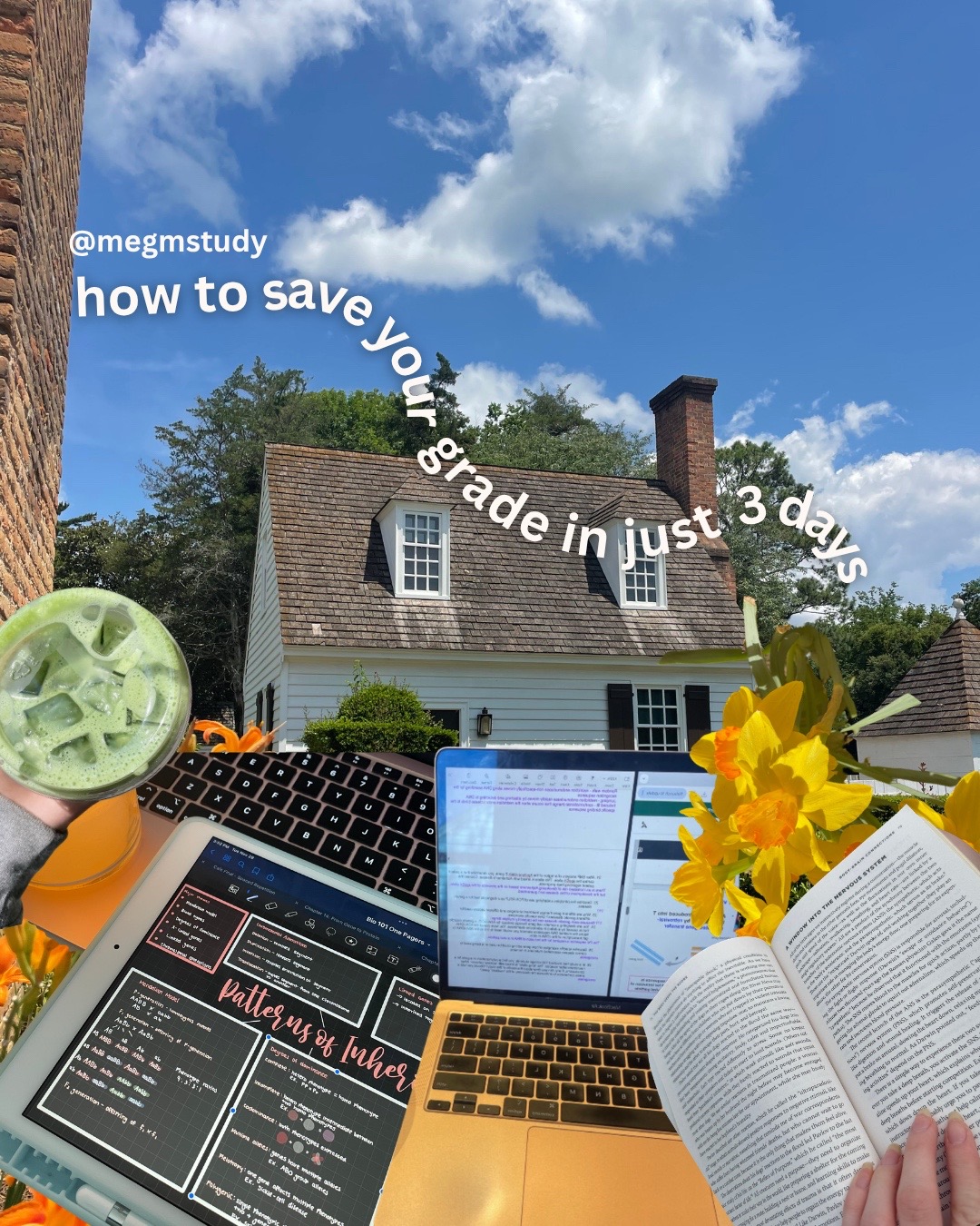 @megmstudy