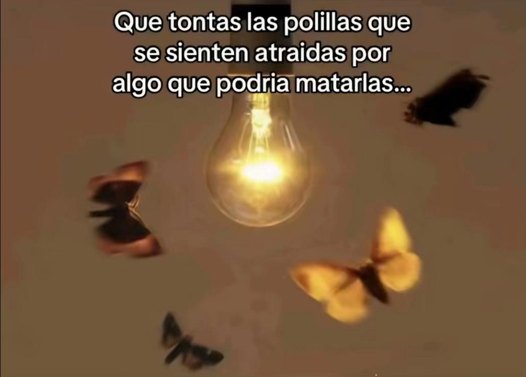 @Paola Ramos