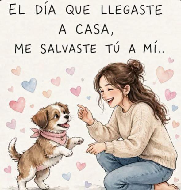 @BelitaPets
