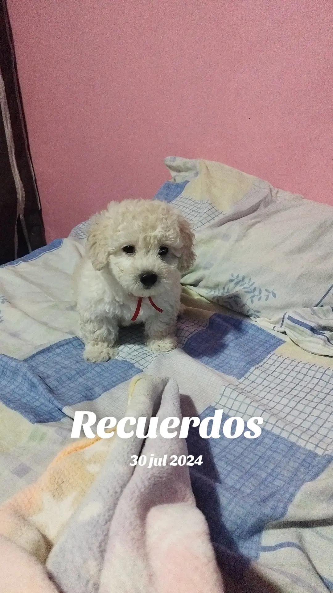 @Alejandra