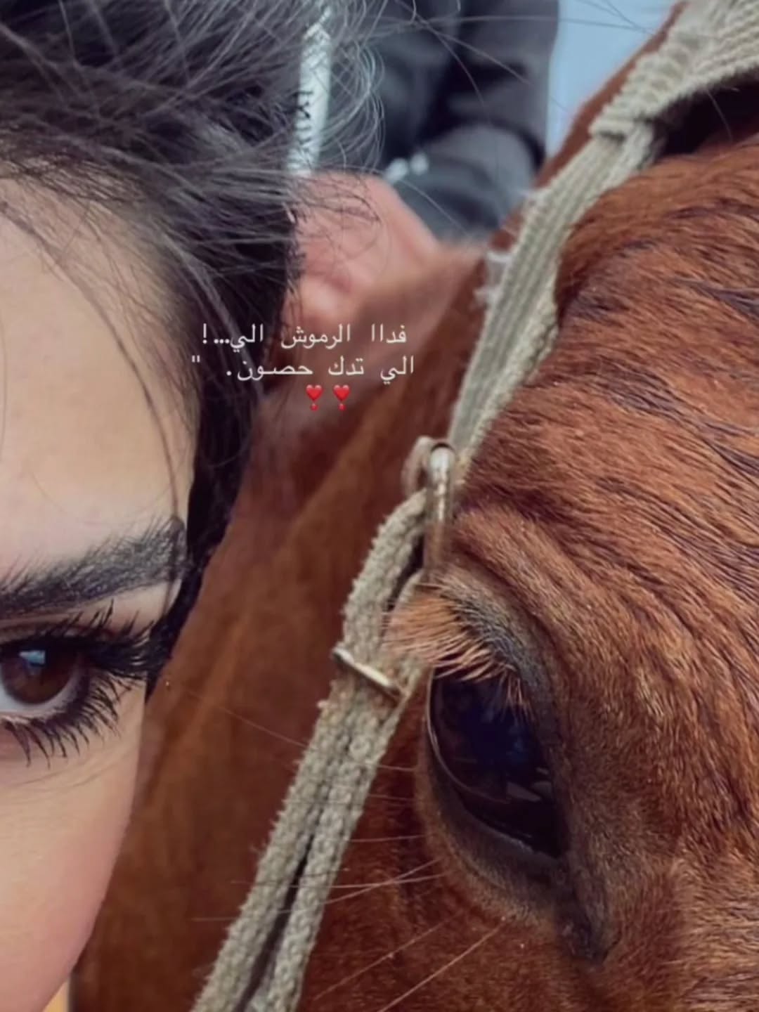 @عيـ⃪𔘓̸ـ⃪ون المـ⃪͢ـ𝄞ـها💞