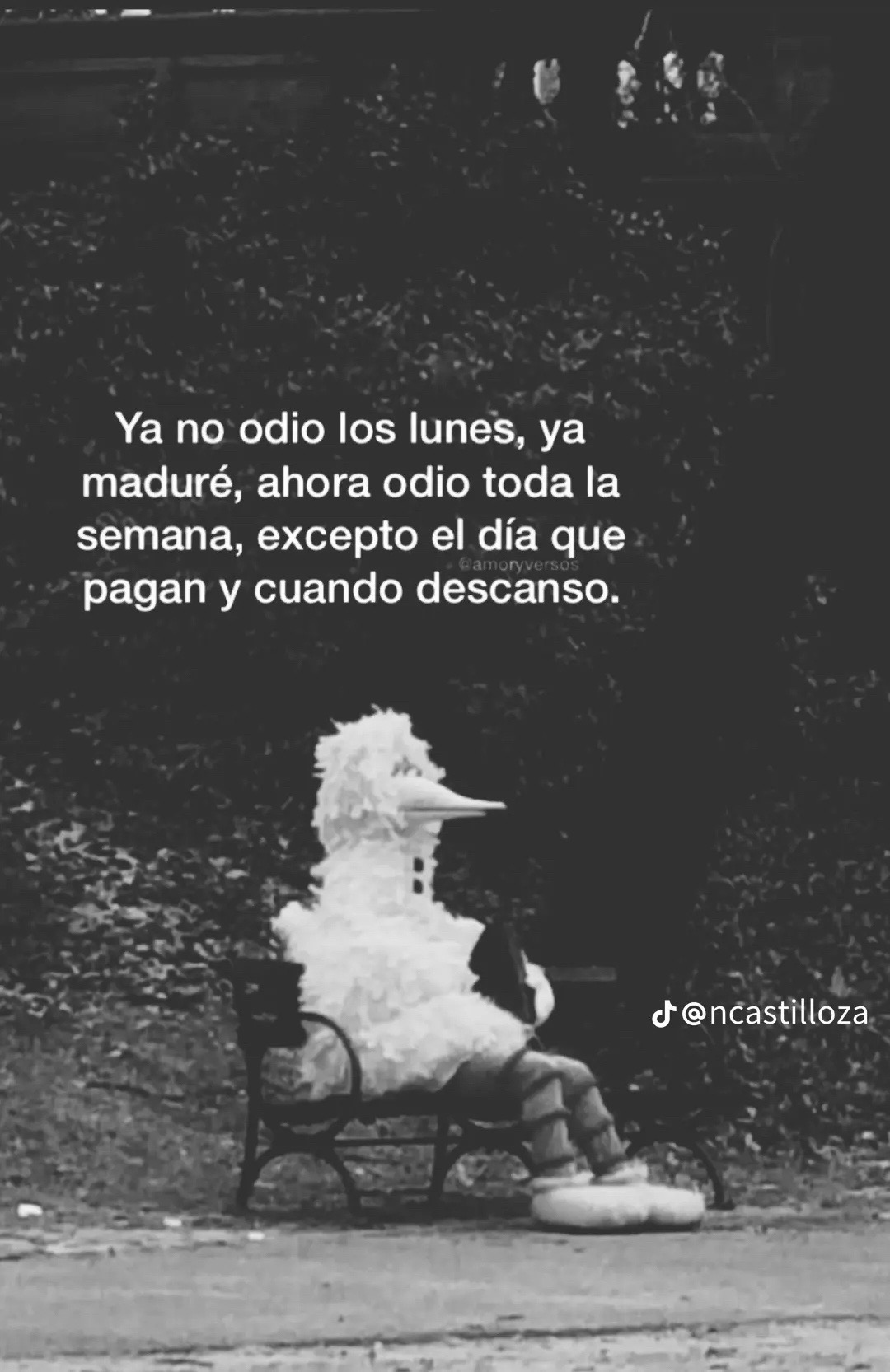 @🖤Butter cup Y🎶