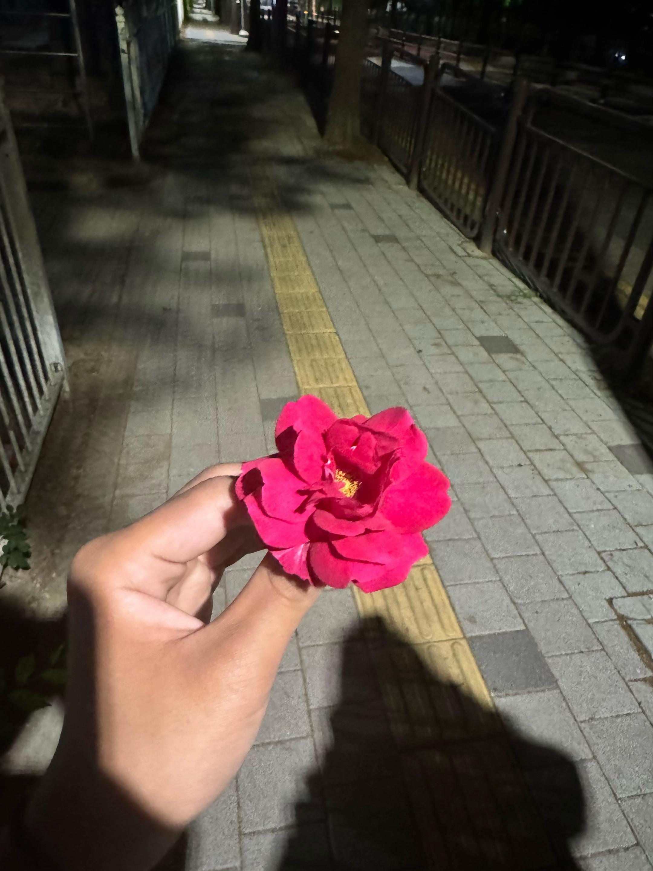 @승 윤