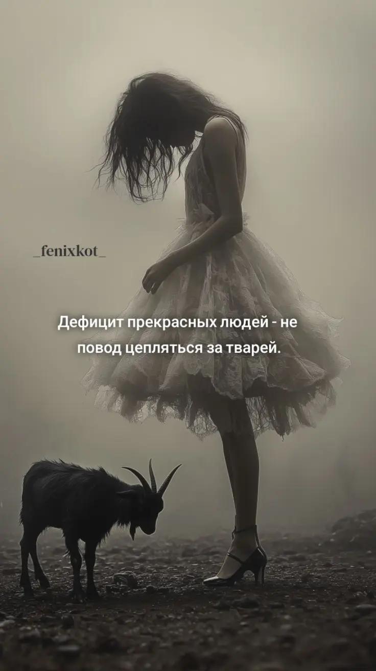 @La❤️koShka