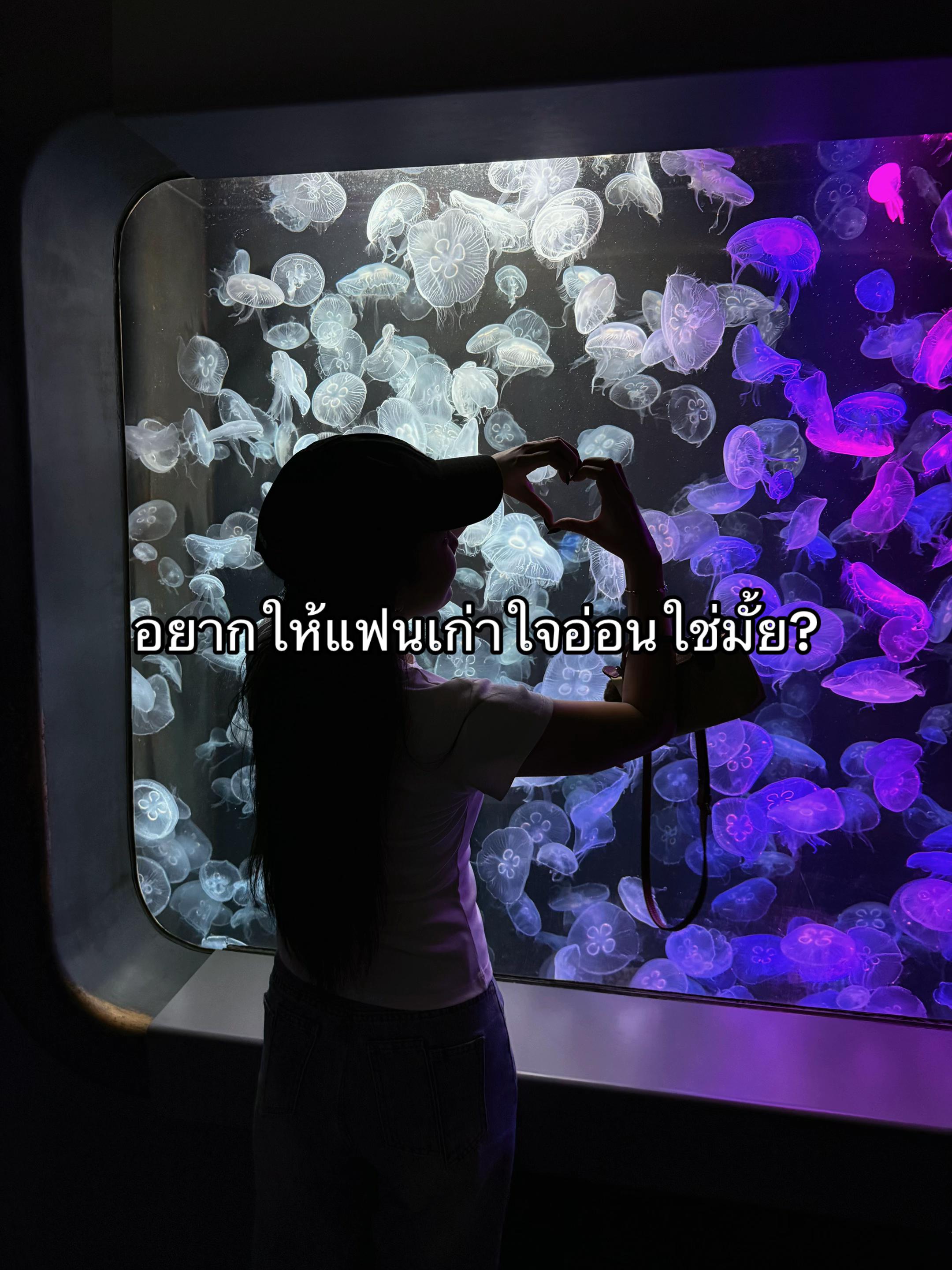 @วีนัสที่เป็นสายมู