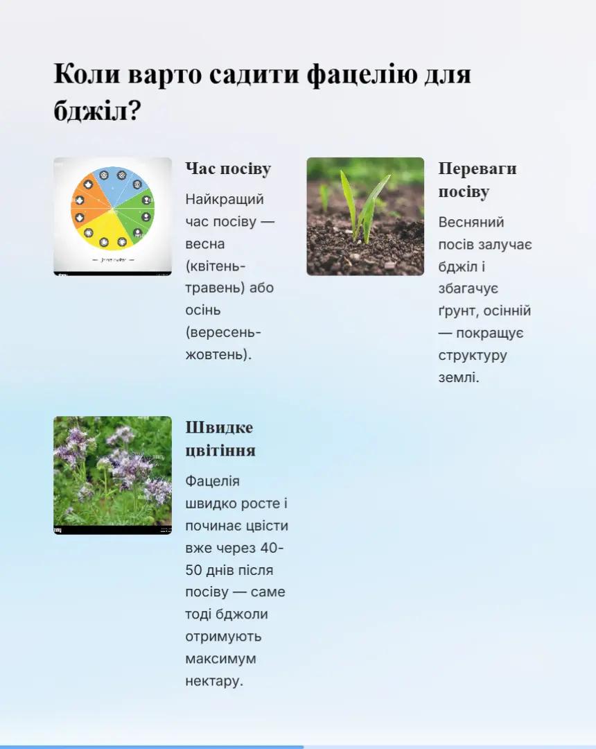 @Аля🐝