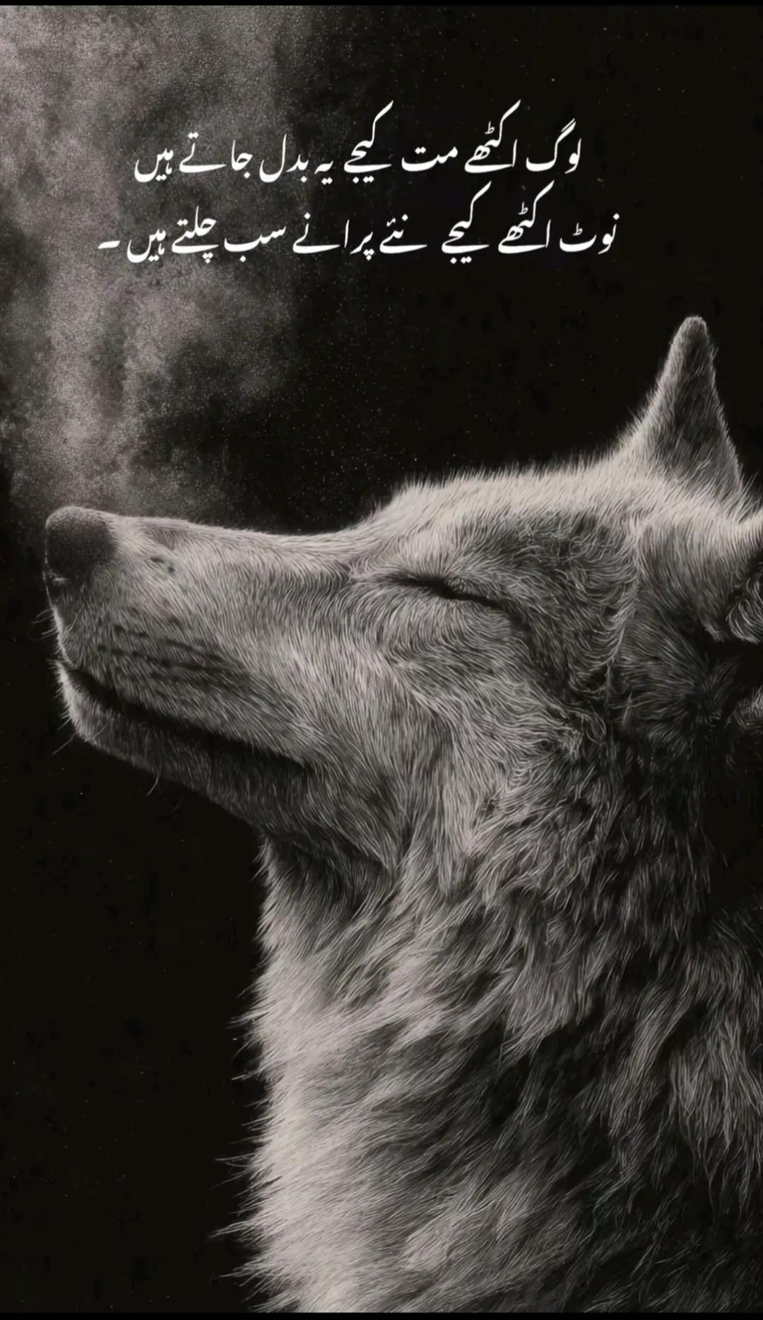 @Elara 🌌Mysterious&aesthetic🥀