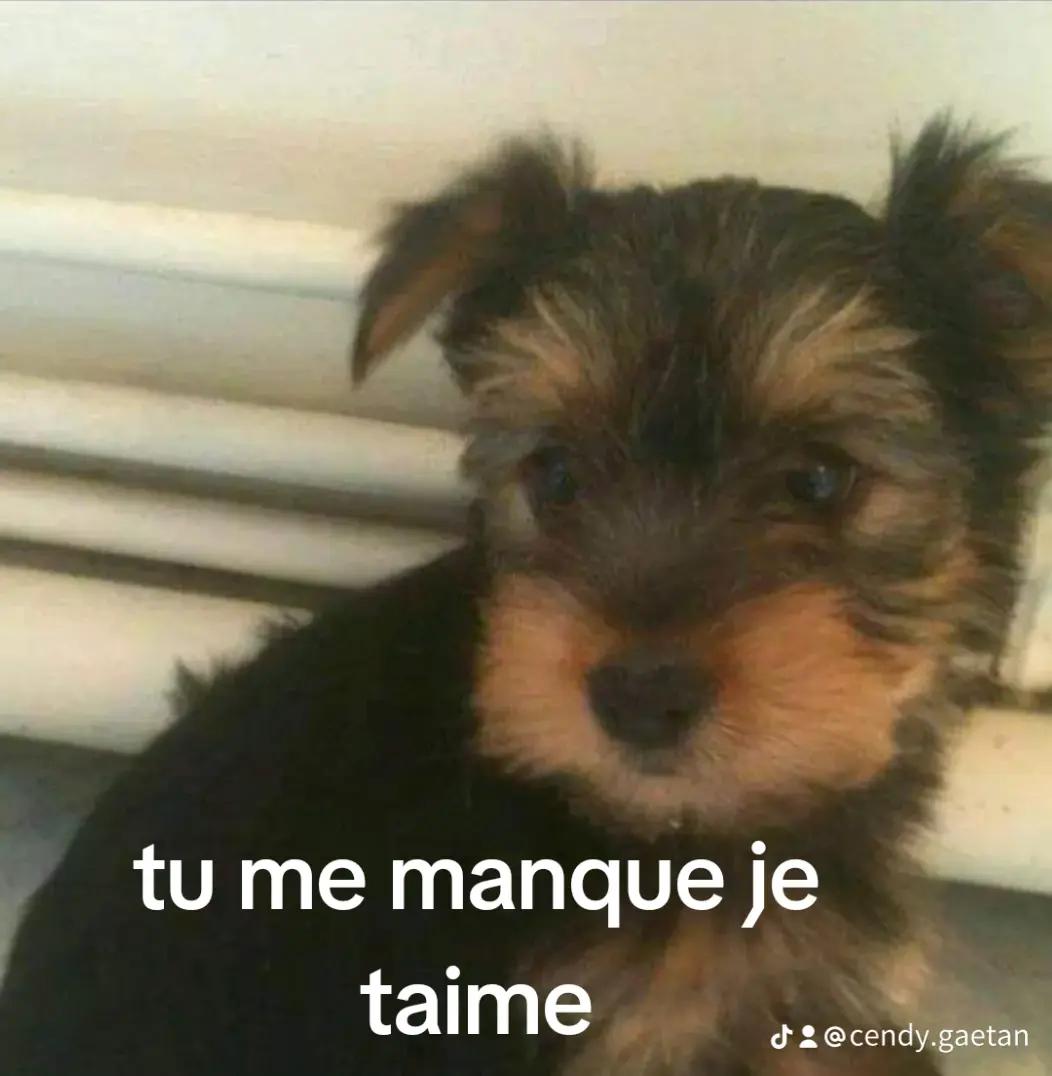 @Cendy&Gaetan