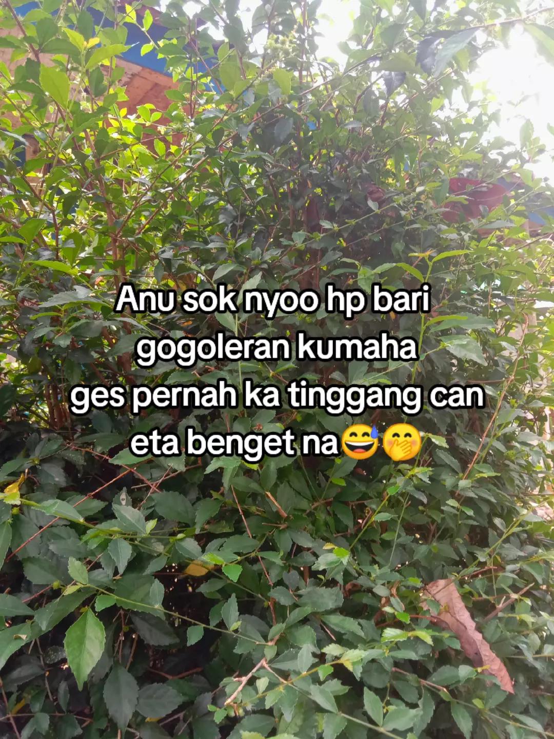 @Ɓ&Ugrave;&ETH;&Atilde;Ķ Ś&Uacute;ŃĎ&Acirc;💥🐅