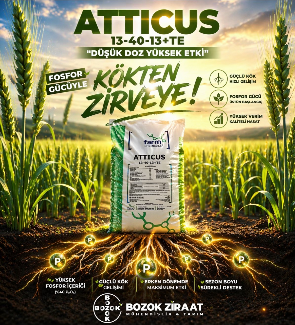 @Bozok Ziraat Mühendislik