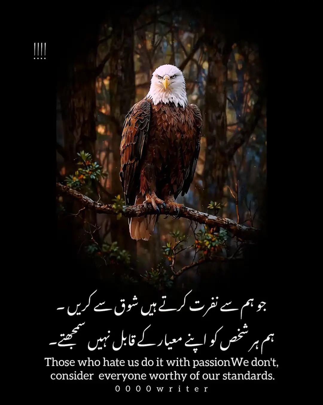 @M Nauman Khalid