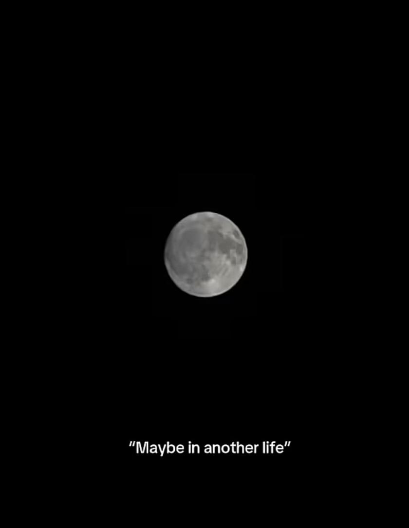 @νɨღℓɑ✨