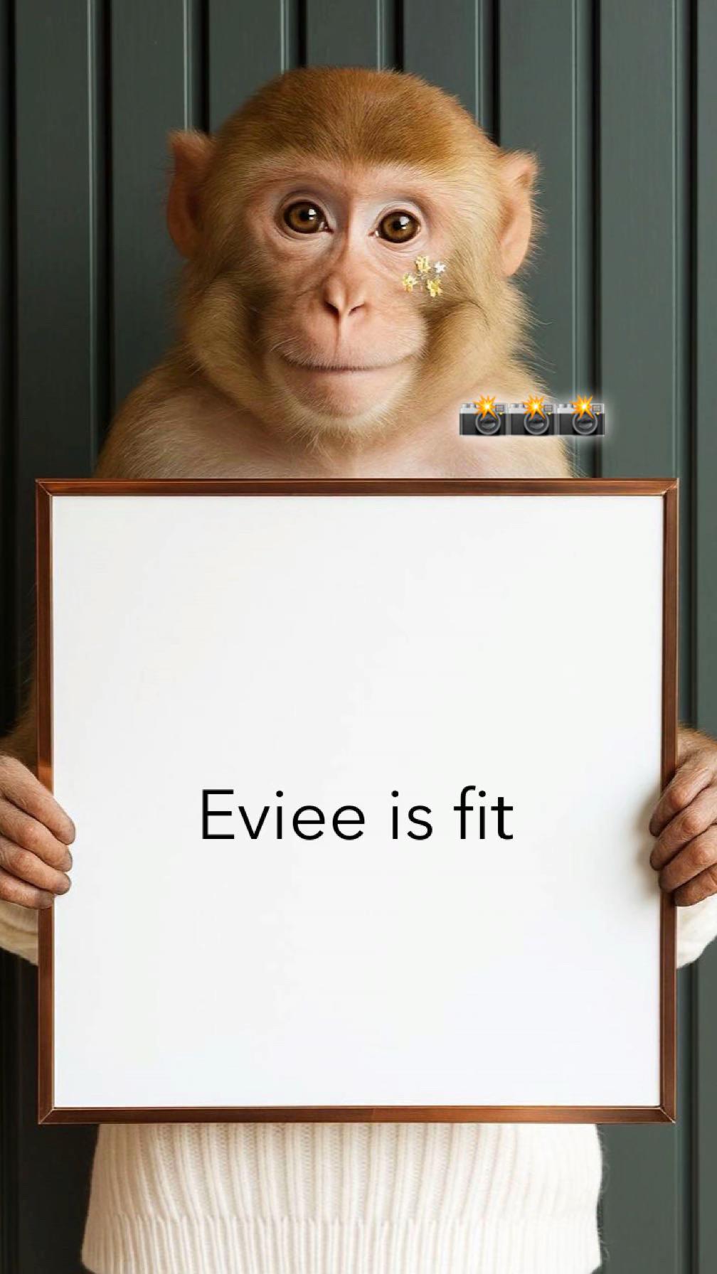 @⚜️evxee⚜️