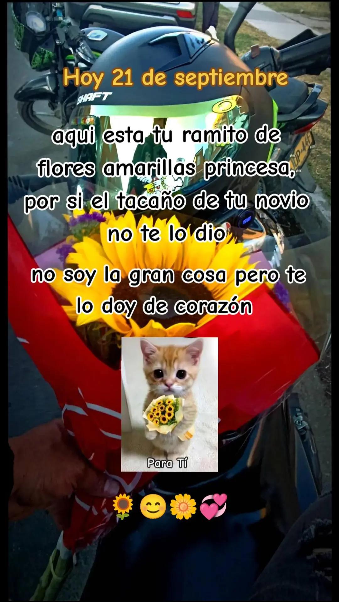@Cámîlø
