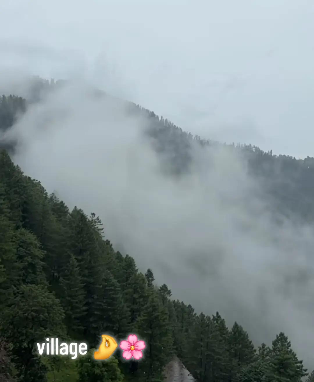 @𝐀ᴘᴇx°