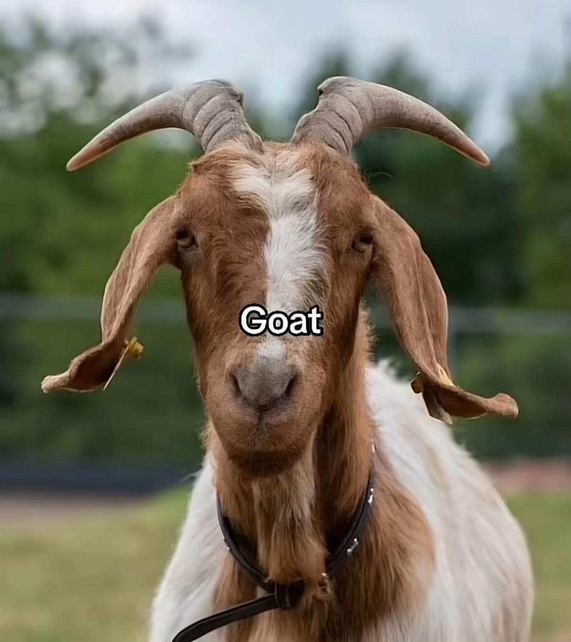 @Frxy