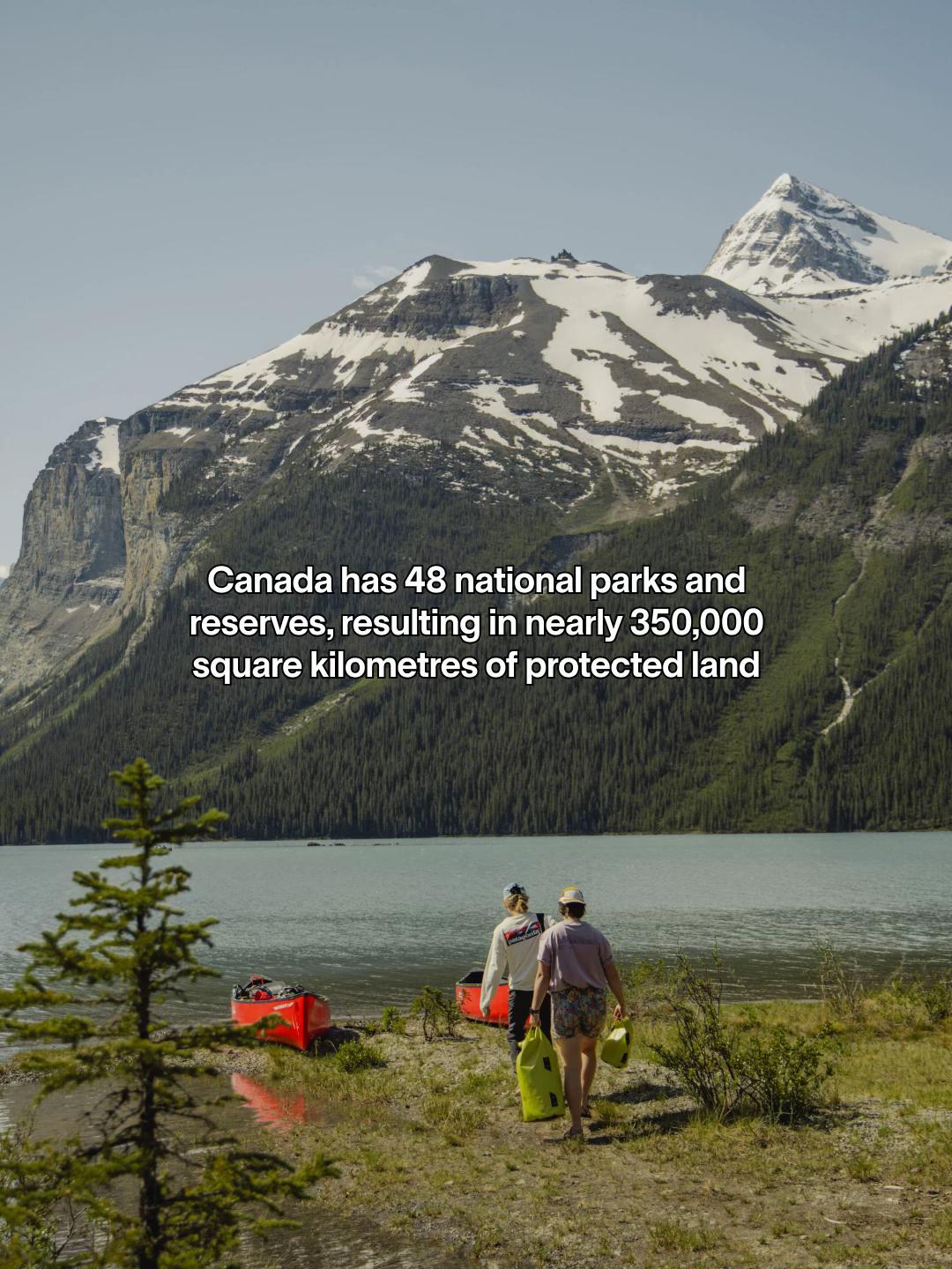 @MEC