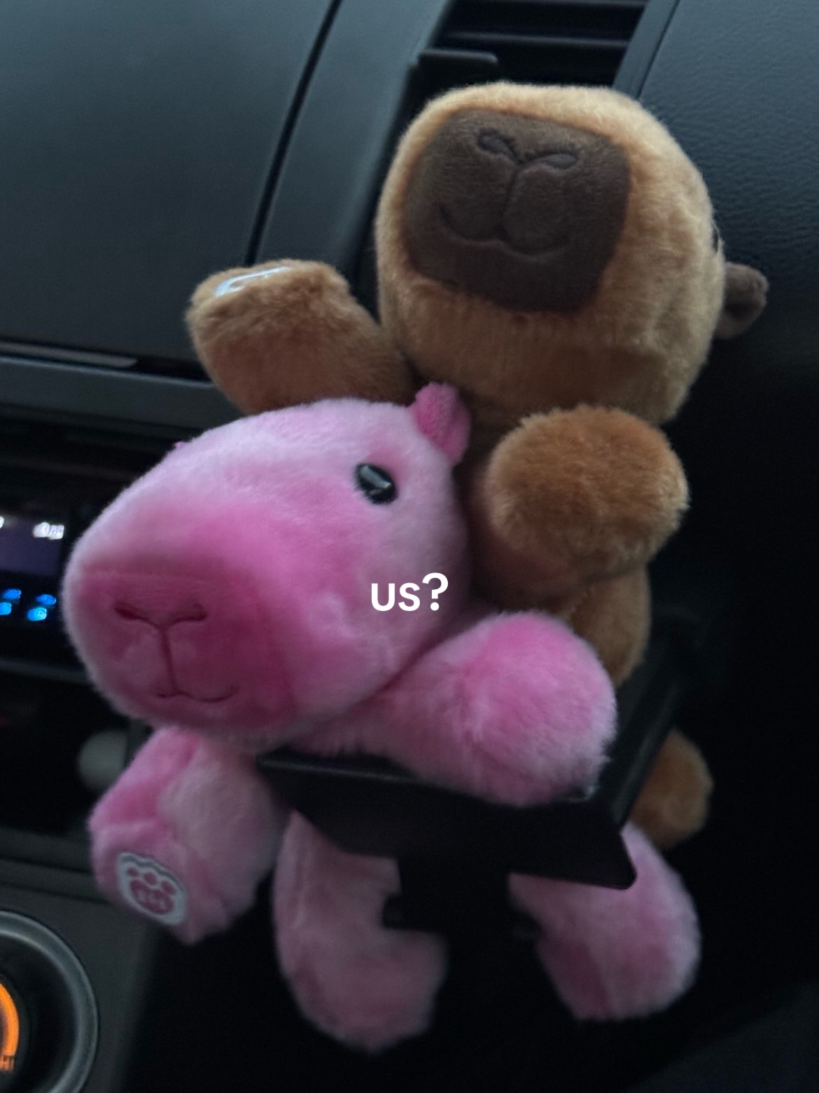 @Pelulu💗