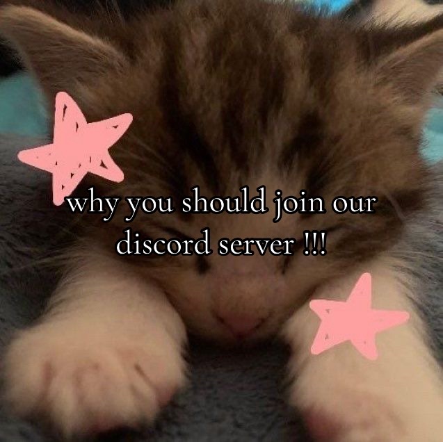 @🐾🫧