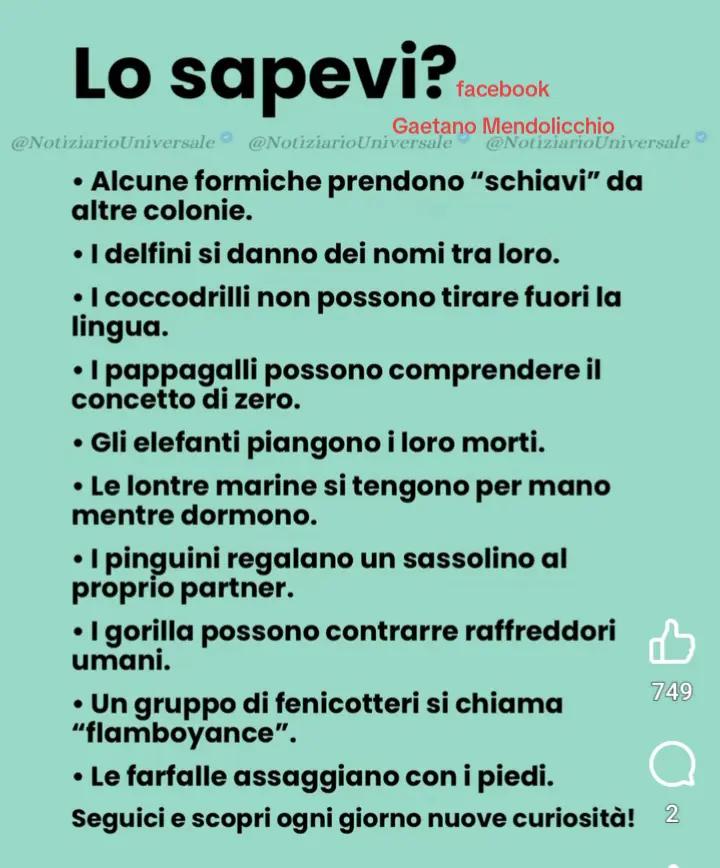 @GAETANO ❤️ 🌹