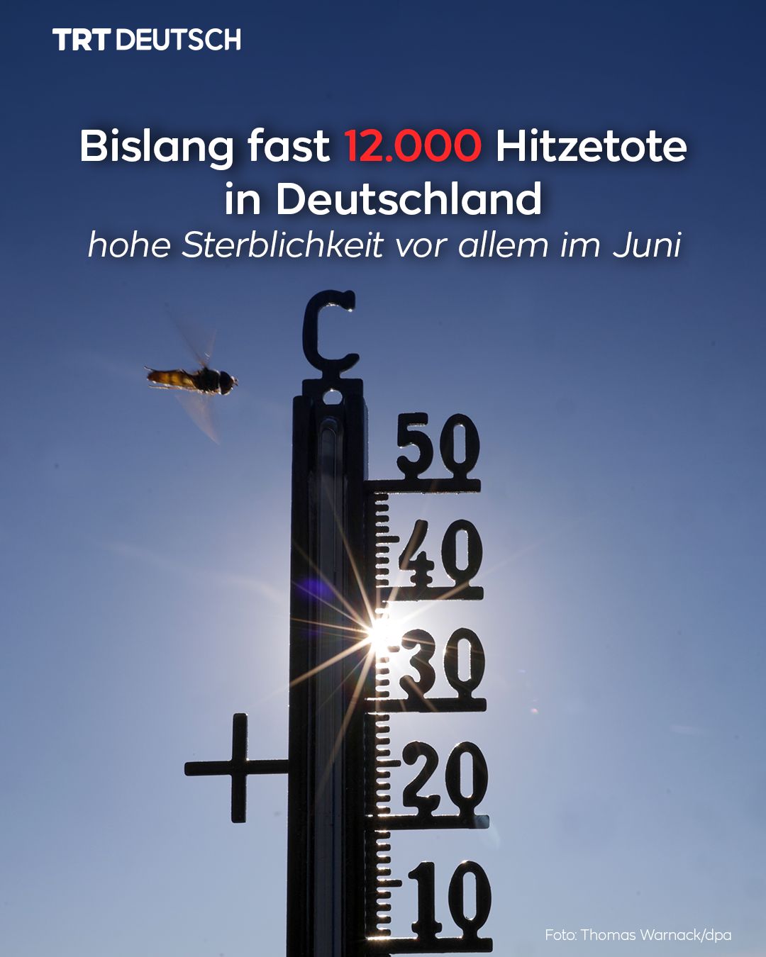 @TRT Deutsch