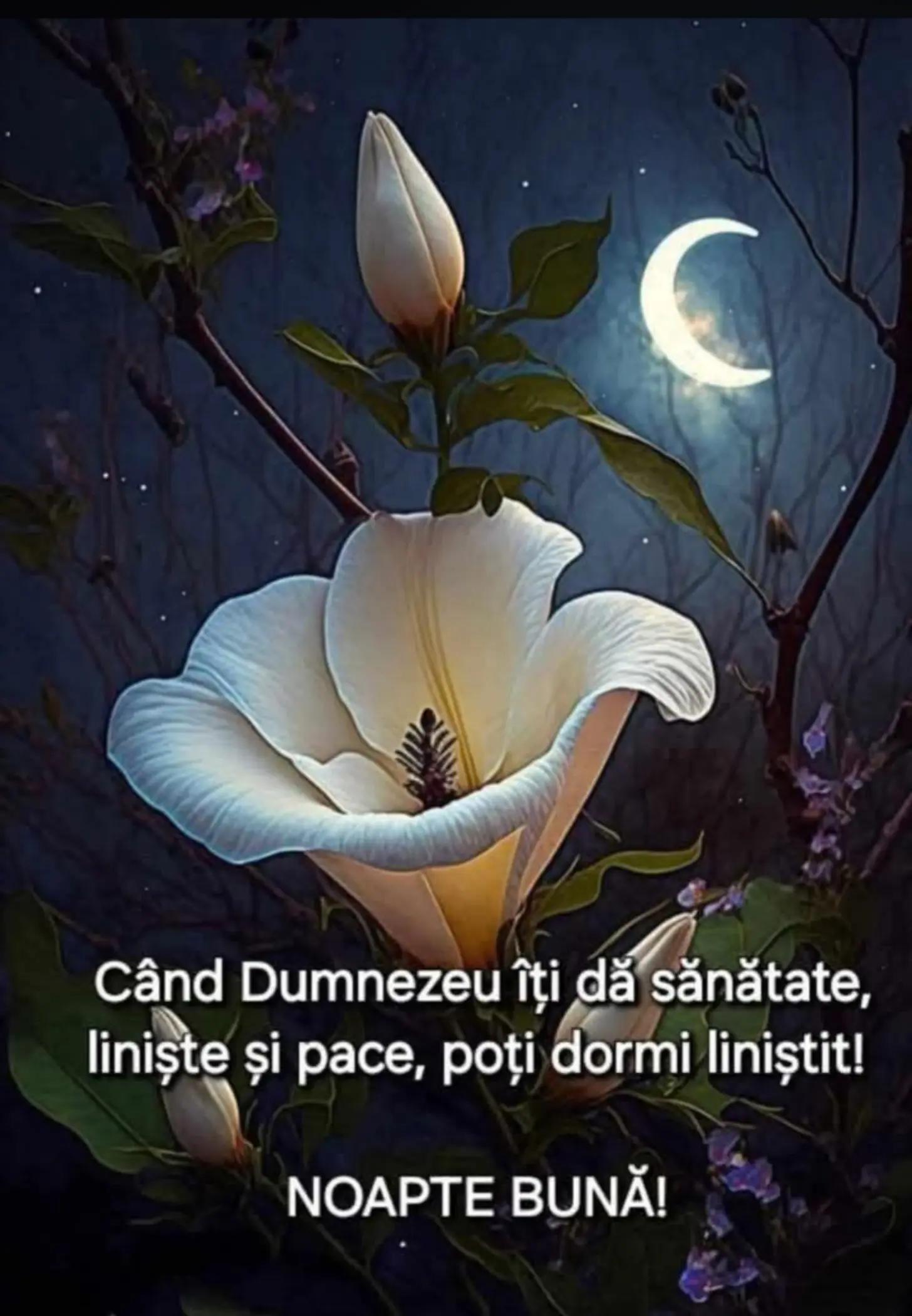 @Filofteia Alexandru