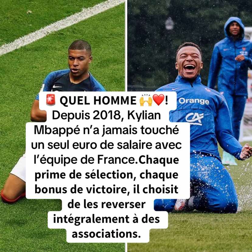 @icelehmann