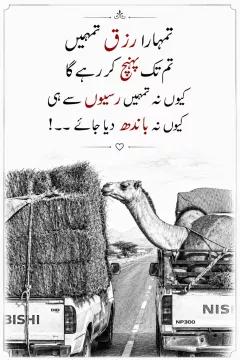 @Farhat Ullah