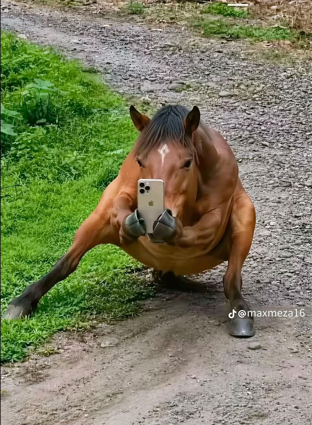 @Abrhn_o_s