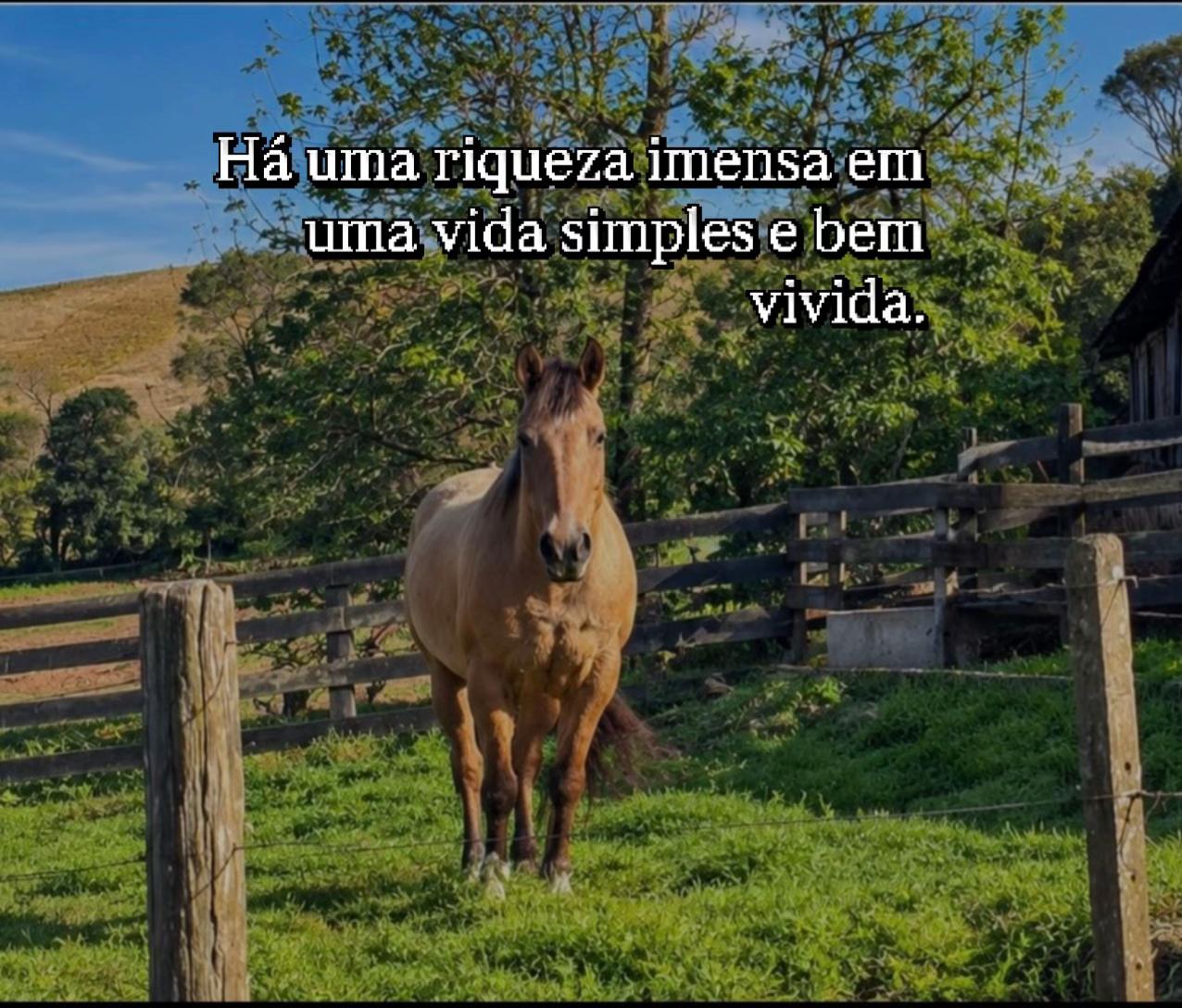 @Ana Caroline F&aacute;vero
