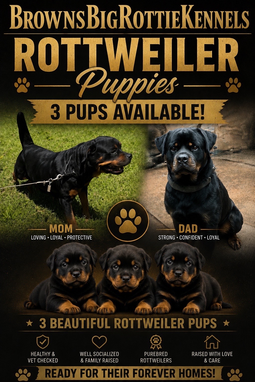 @BrownsBigRottieKennelsLLC