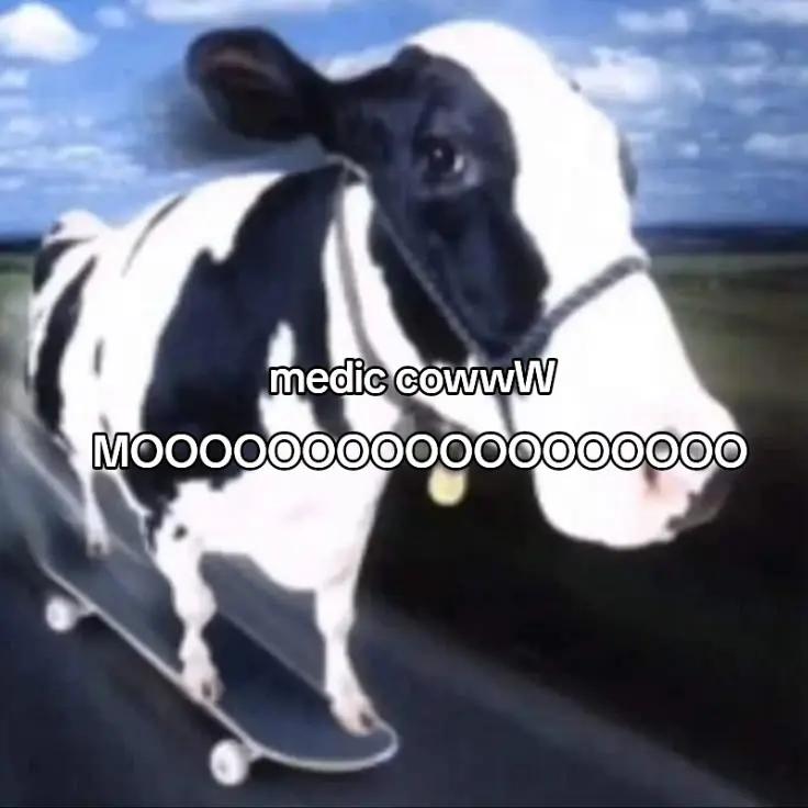 @匚ㄖㄚ
