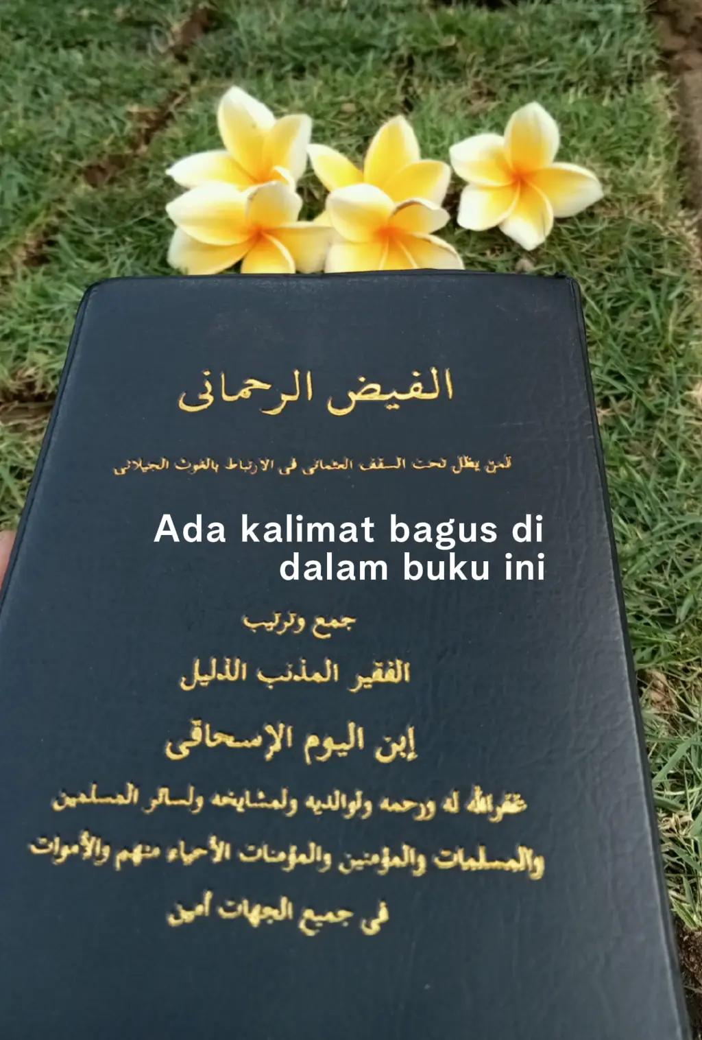 @🕊 فيفي