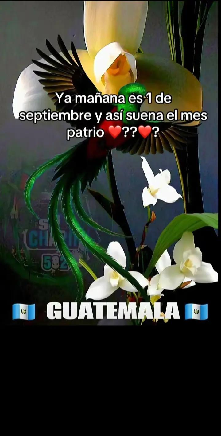 @🍒Chiquita Flores🍒🇬🇹