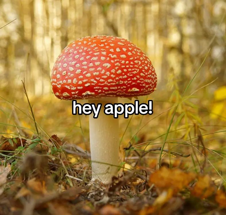 @Япа Скуда