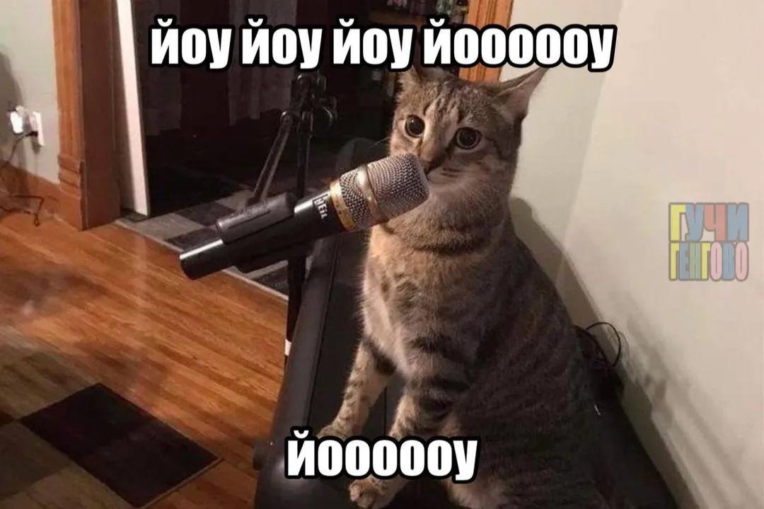 @😺