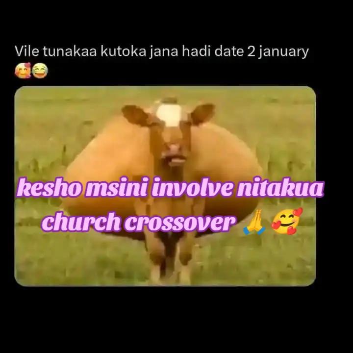 @Mercie F❤️🥰