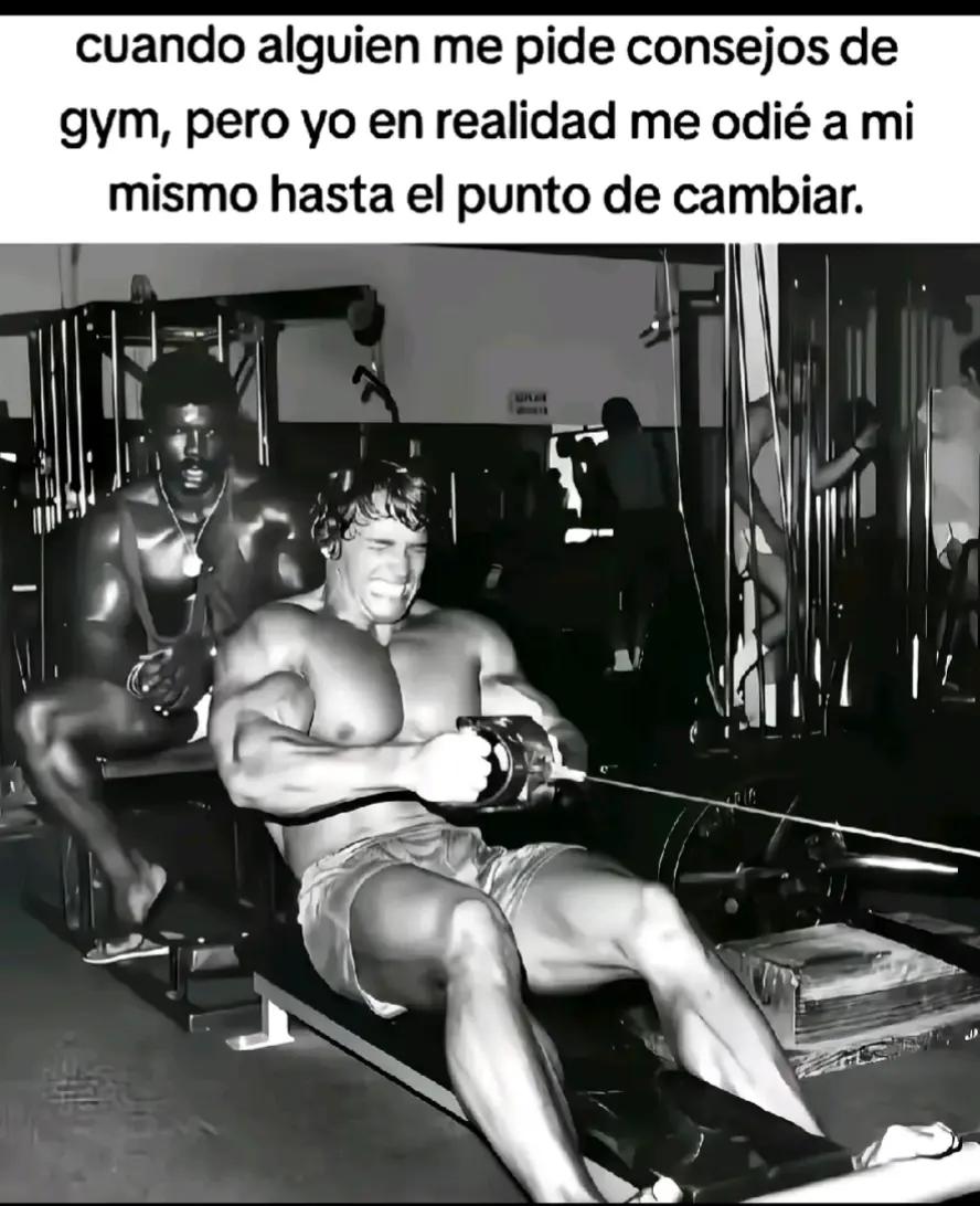 @lilioosmarbol
