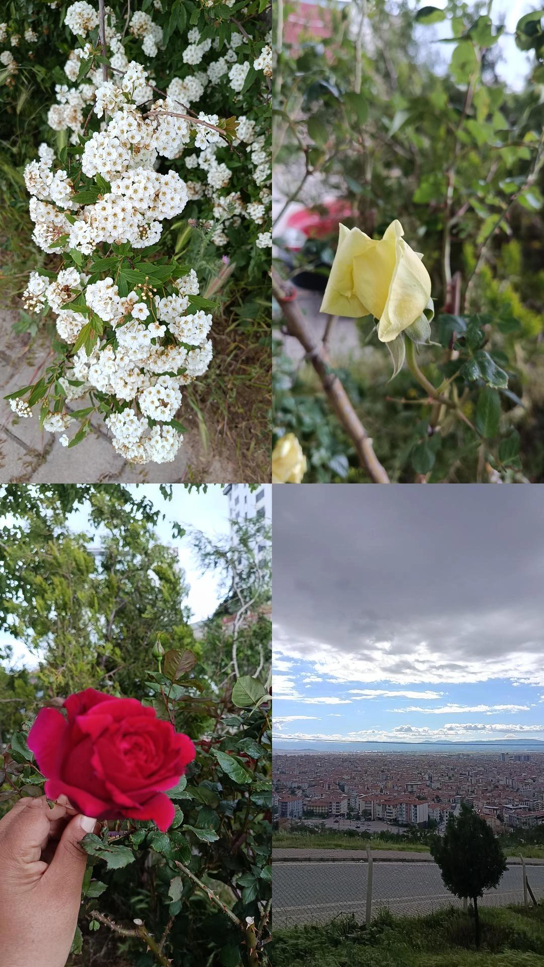 @kelebeğin Rüyası 44