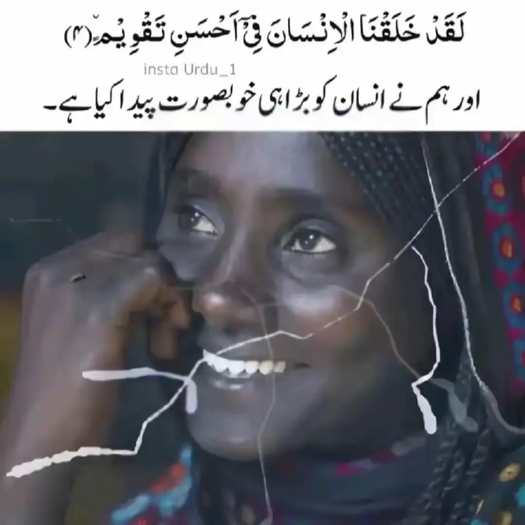 @Zk Zohaib Khan 886🦋