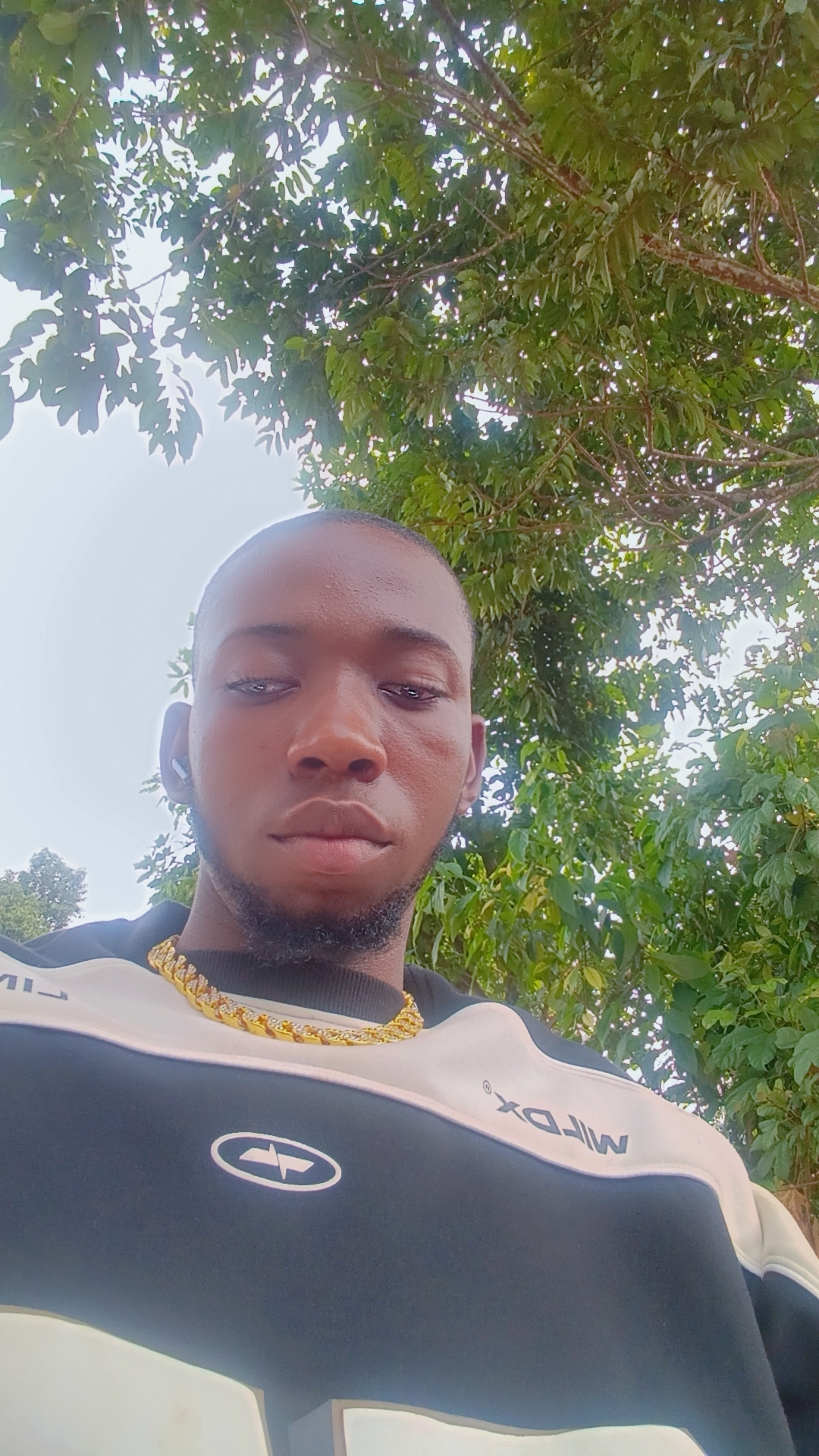 @vbalck.